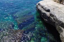 Notre zone d'activité pour ce service Restaurant de poissons avec terrasse à La Ciotat